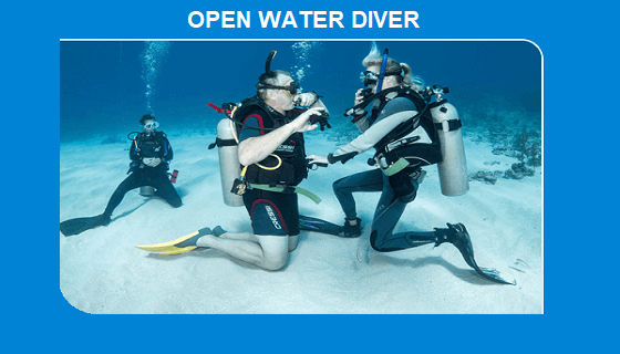 Open Water Diver
